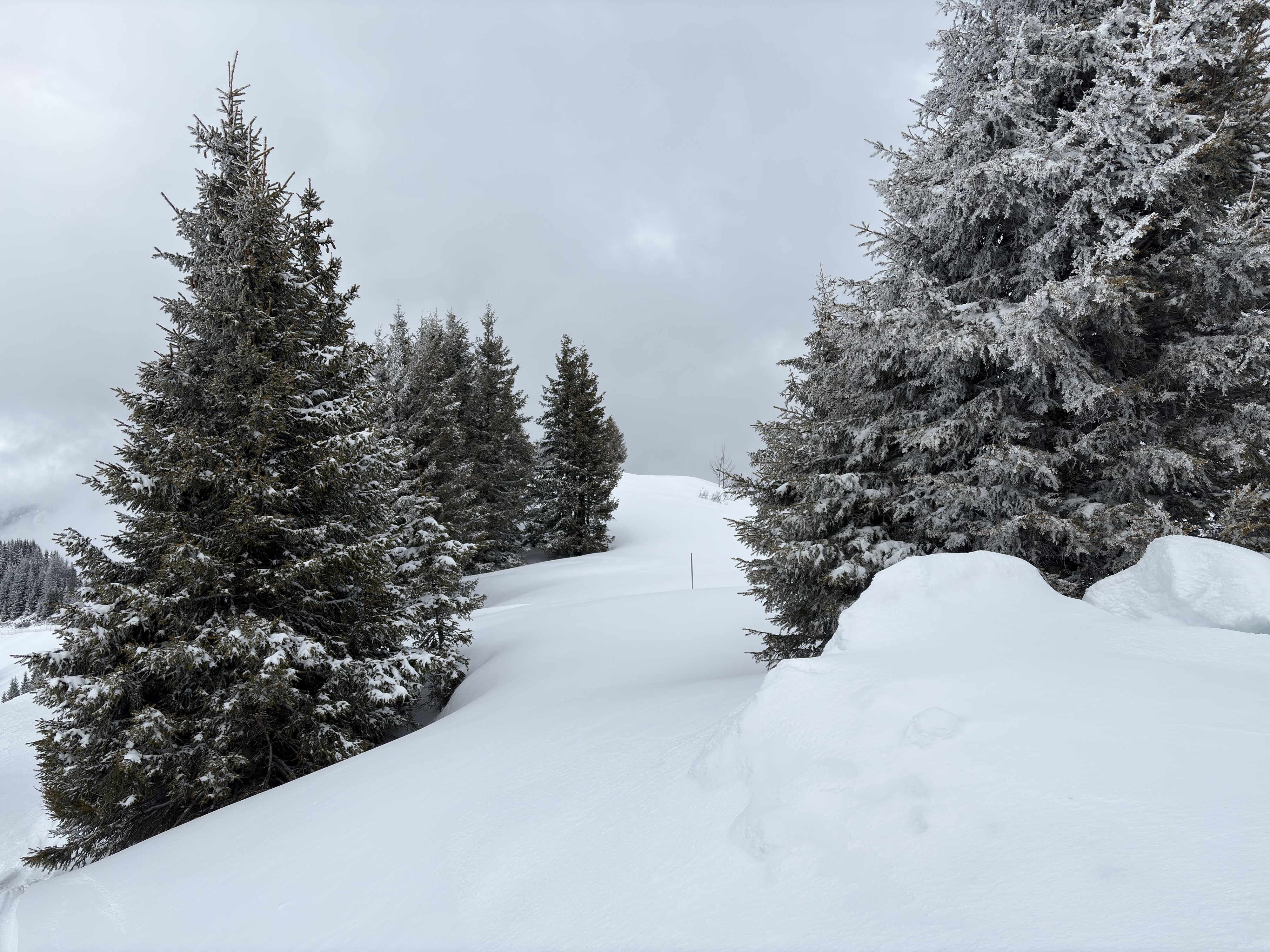 Picture France Praz sur Arly 2025-02 54 - Tour Praz sur Arly