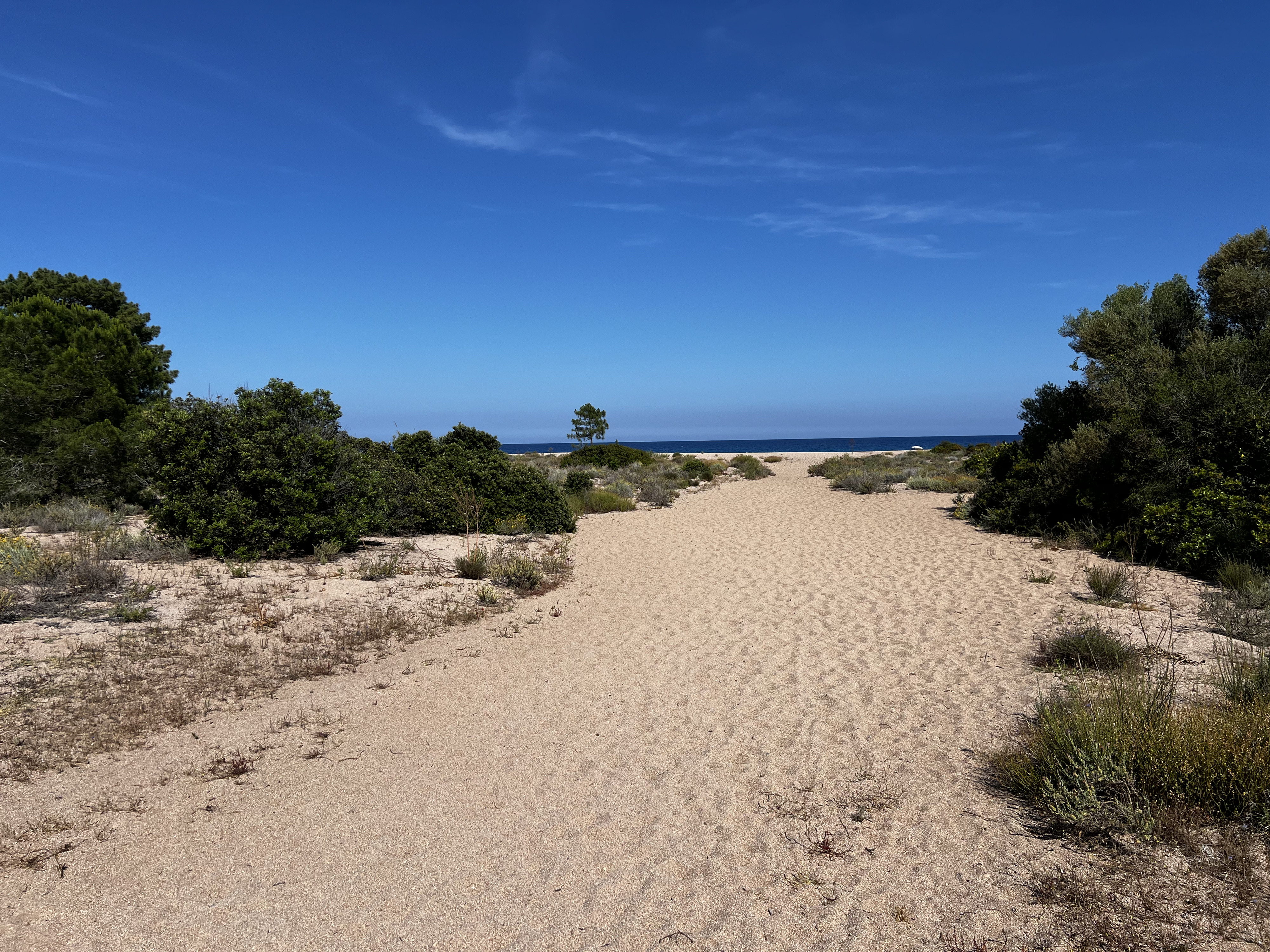 Picture France Corsica Ovu Santu Beach⁩ 2024-05 11 - Tour Ovu Santu Beach⁩
