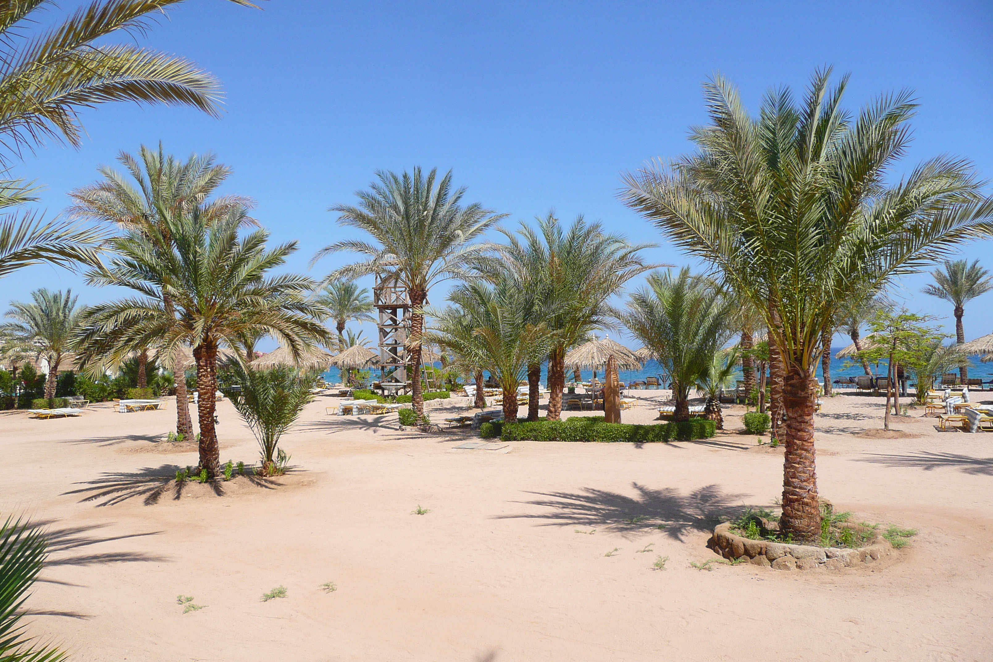 Picture Egypt Sharm el Sheikh 2008-06 42 - Journey Sharm el Sheikh