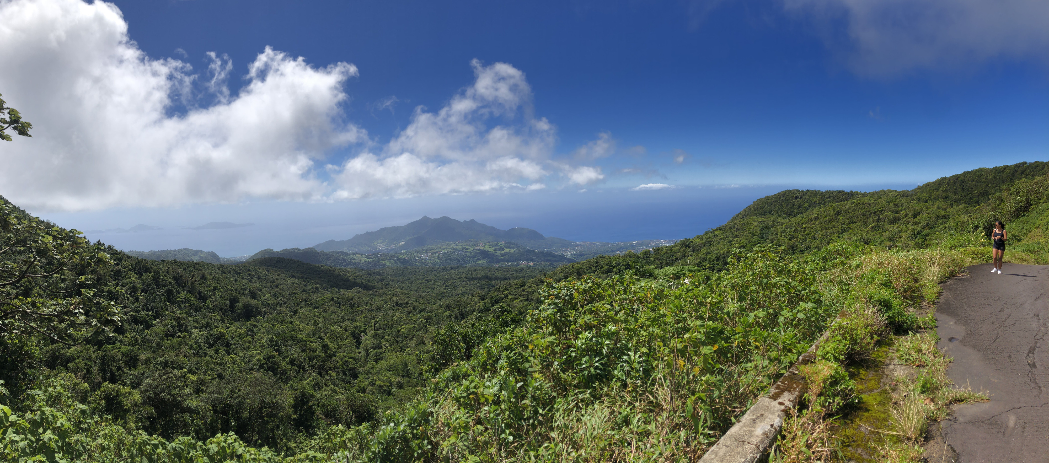 Picture Guadeloupe La Grande Soufriere 2021-02 54 - Around La Grande Soufriere