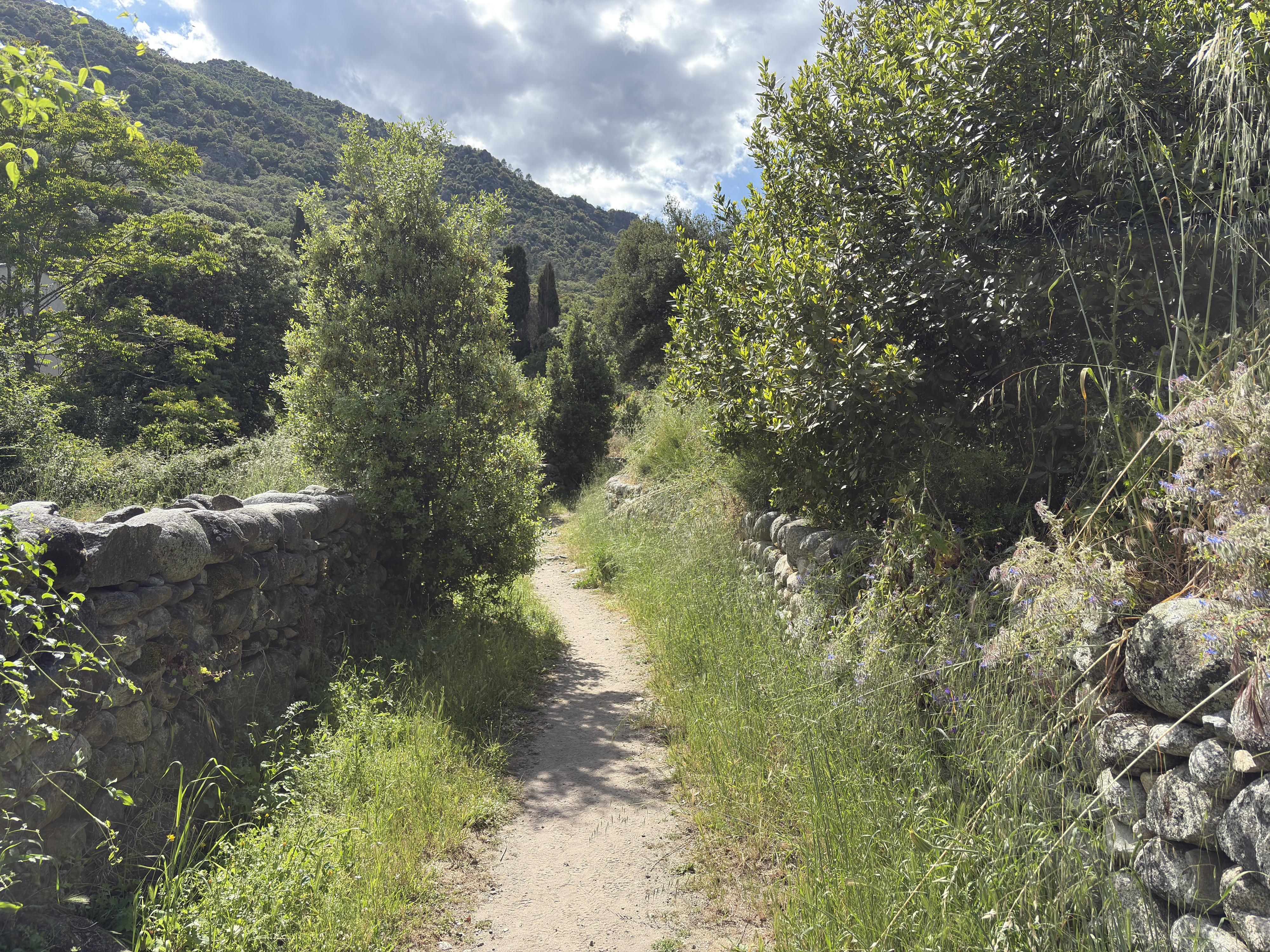 Picture France Corsica Corte 2025-06 15 - History Corte