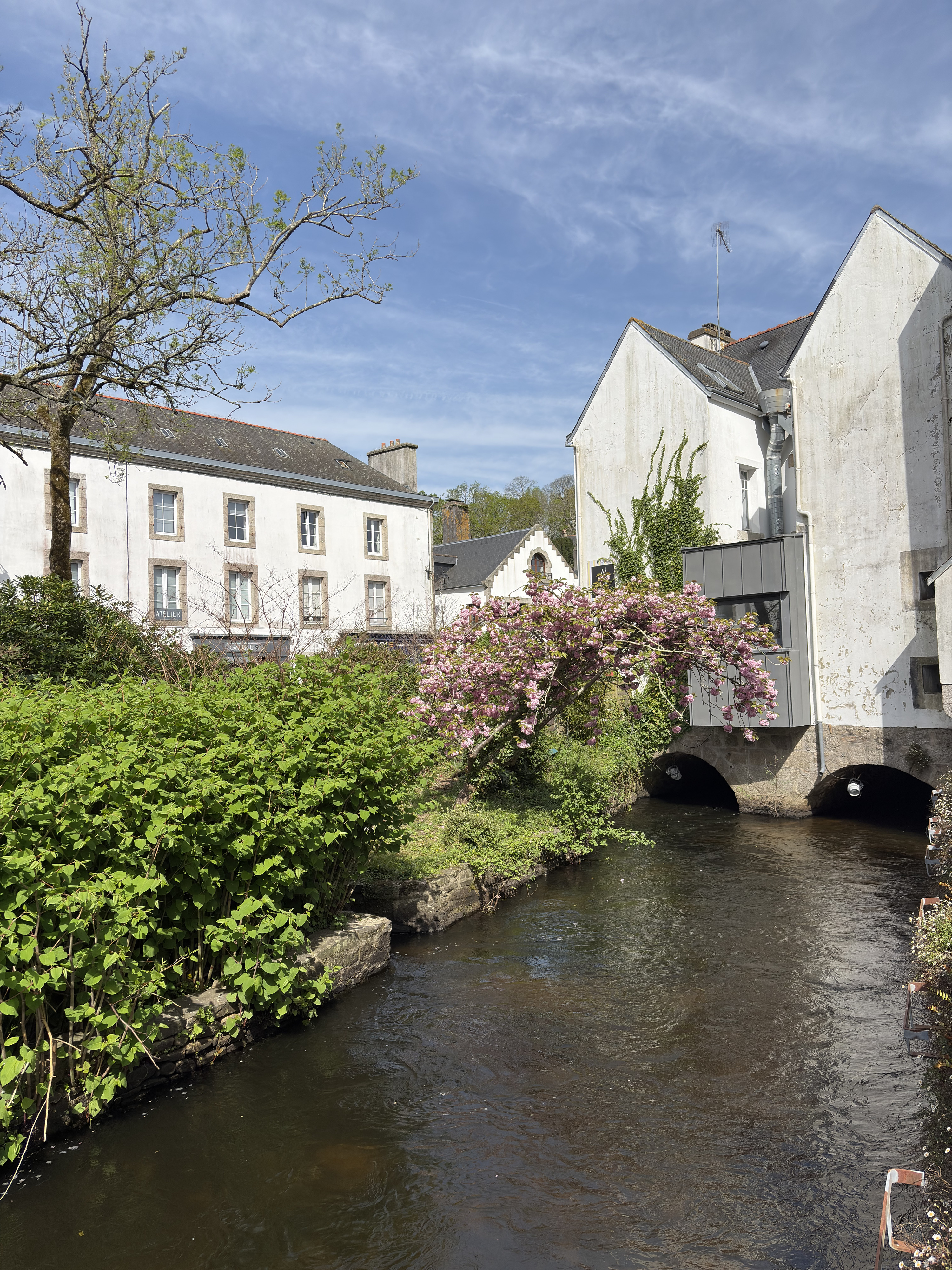 Picture France Pont Aven 2026-04 37 - Tours Pont Aven