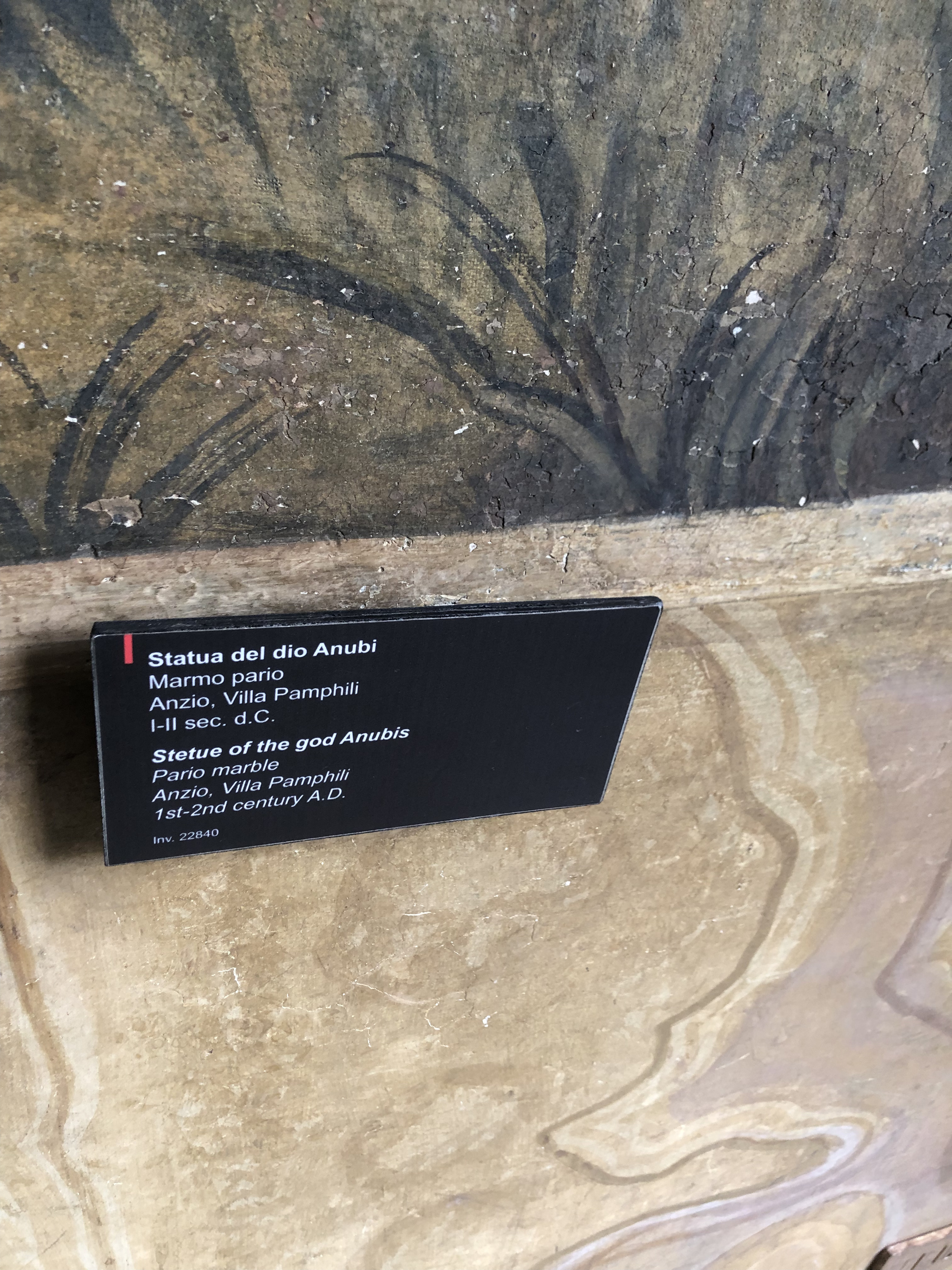 Picture Italy Rome Vatican Museum 2024-09 269 - Tours Vatican Museum