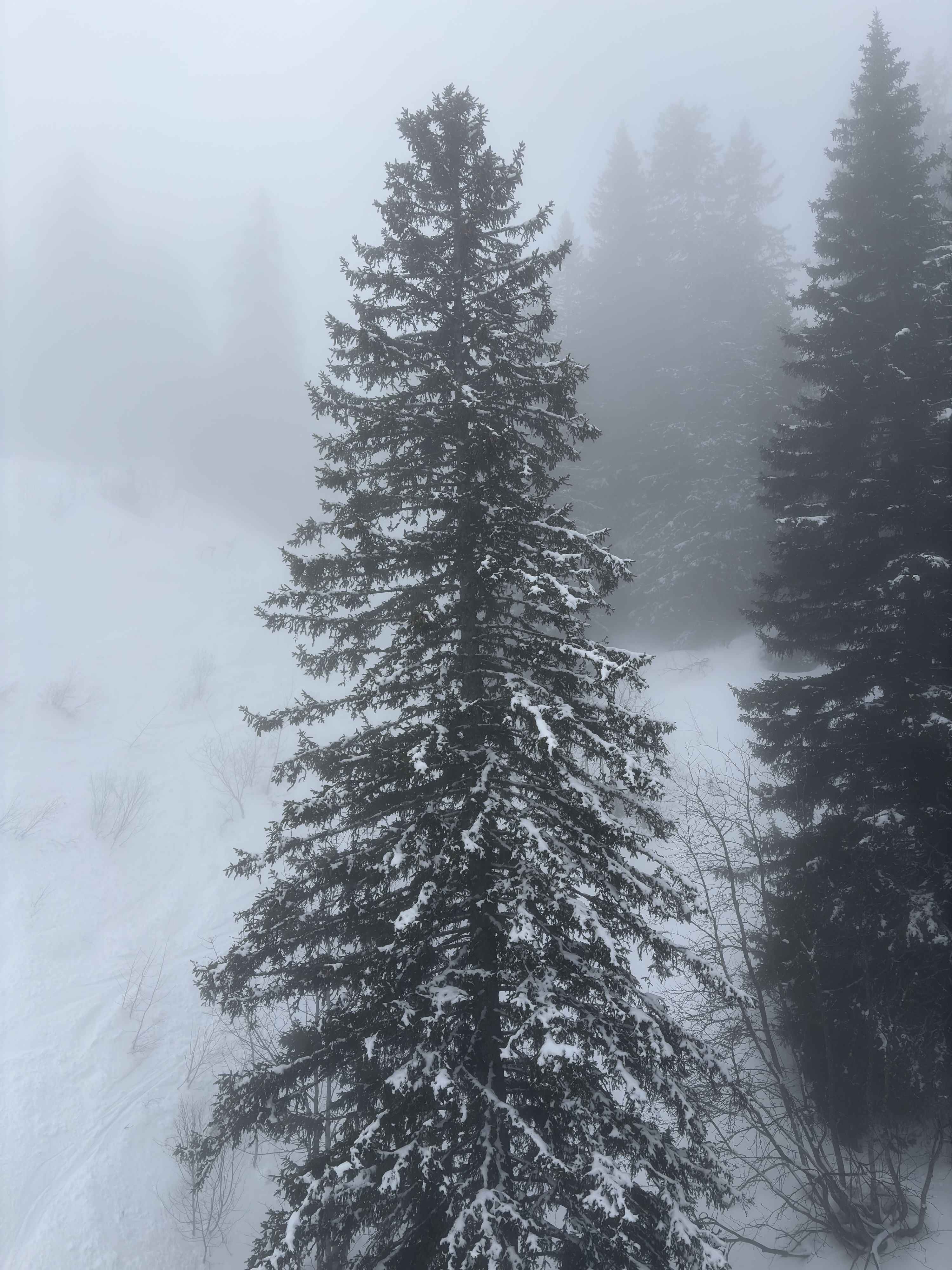 Picture France Praz sur Arly 2025-02 63 - Journey Praz sur Arly