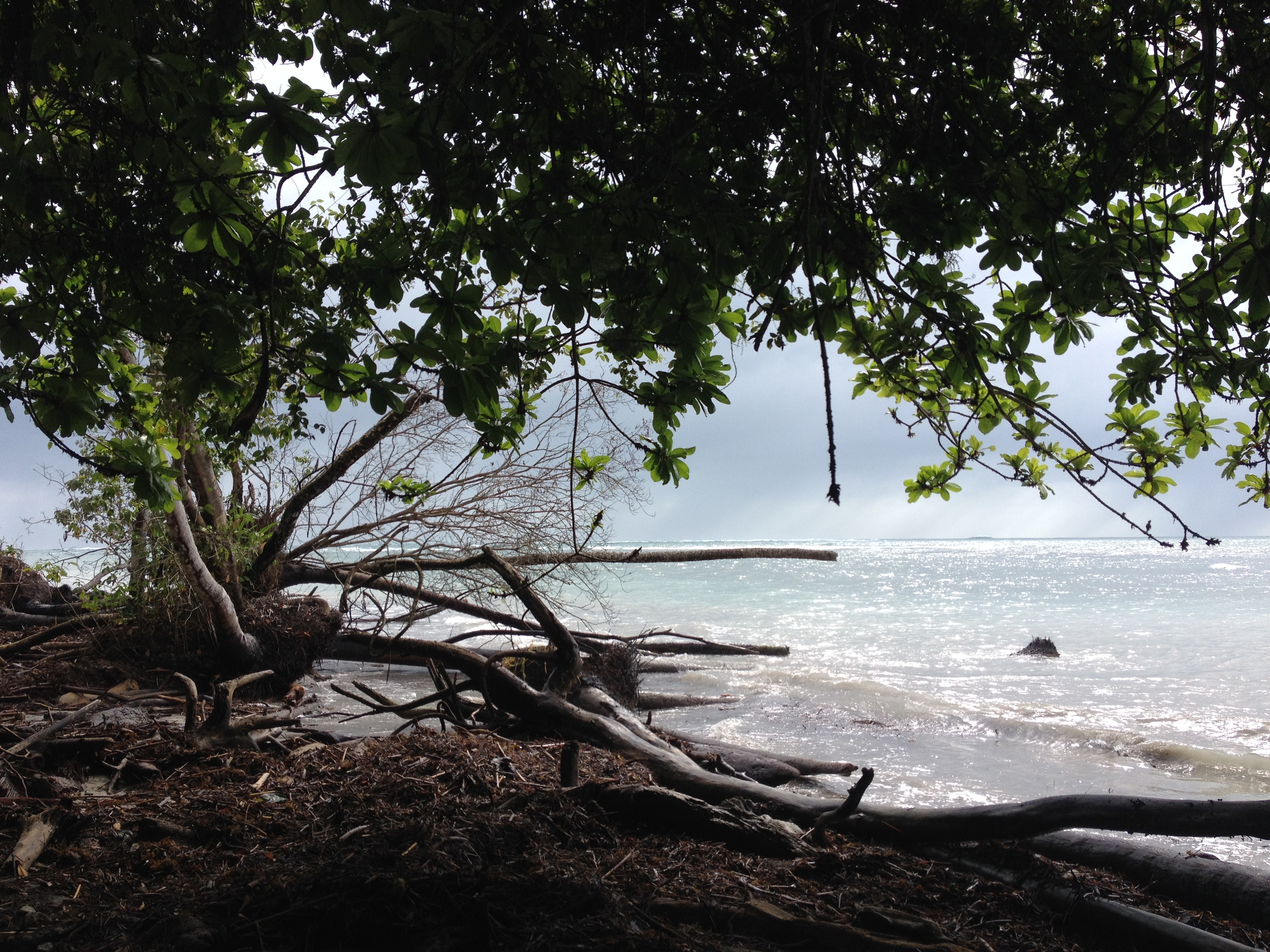 Picture Costa Rica Cahuita 2015-03 83 - History Cahuita