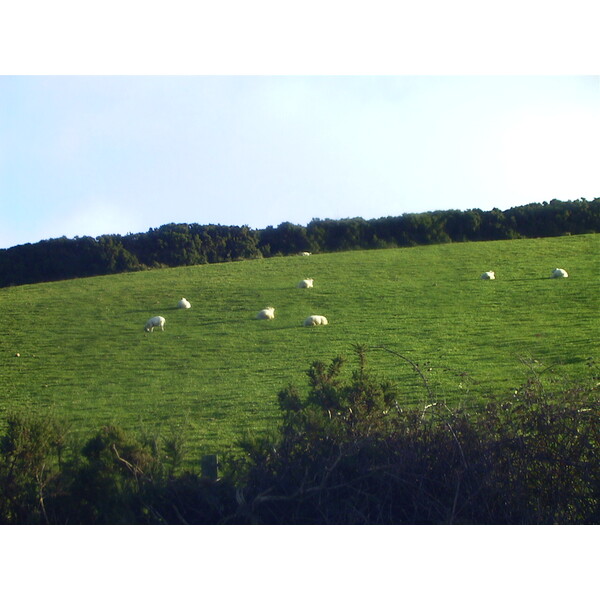 Picture Ireland 2000-11 5 - Around Ireland