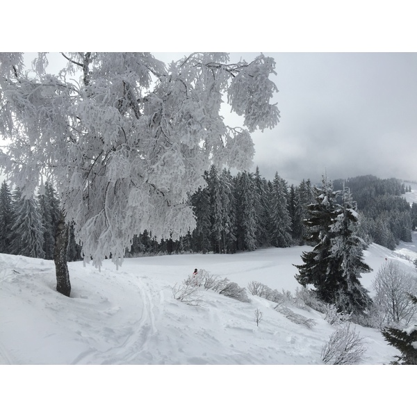 Picture France Megeve 2016-02 69 - Tour Megeve