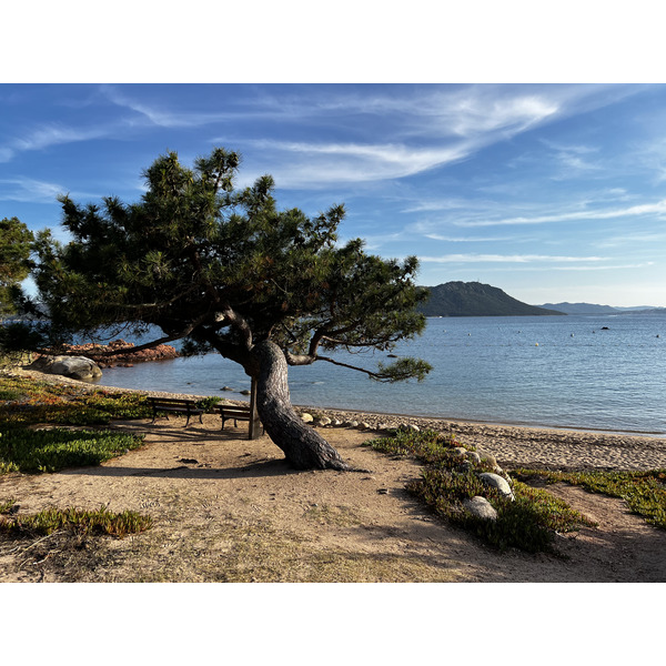 Picture France Corsica ⁨Cala Rossa⁩ 2024-05 32 - Around ⁨Cala Rossa⁩
