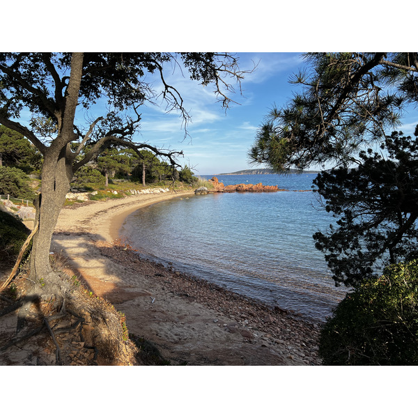 Picture France Corsica ⁨Cala Rossa⁩ 2024-05 8 - Center ⁨Cala Rossa⁩