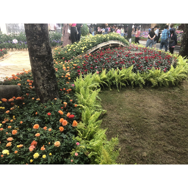 Picture Thailand Chiang Mai Nong Buak Haad Public Park 2024-01 8 - Recreation Nong Buak Haad Public Park