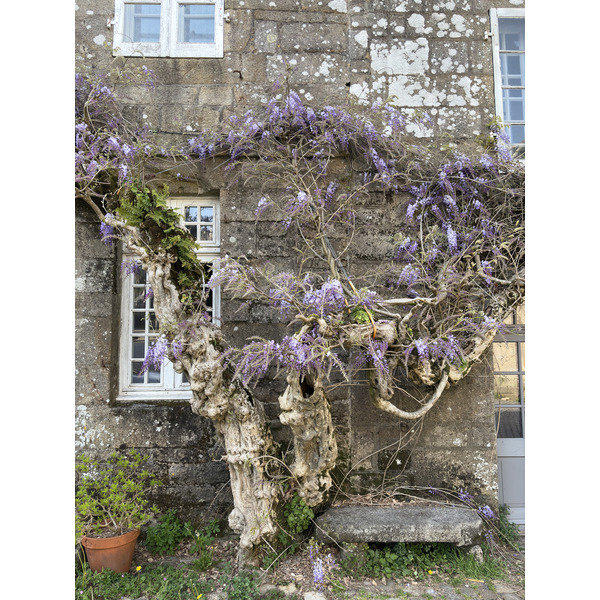 Picture France Locronan 2026-04 89 - Journey Locronan