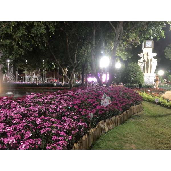 Picture Thailand Chiang Mai Nong Buak Haad Public Park 2024-01 45 - Recreation Nong Buak Haad Public Park