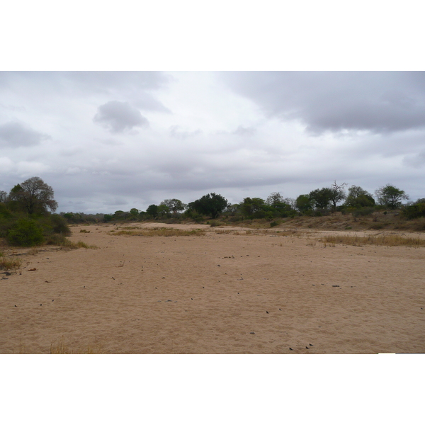 Picture South Africa Kruger National Park Crocodile River 2008-09 35 - Center Crocodile River