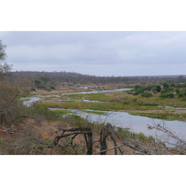 Picture South Africa Kruger National Park Crocodile River 2008-09 54 - Around Crocodile River