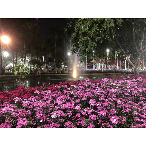 Picture Thailand Chiang Mai Nong Buak Haad Public Park 2024-01 63 - Recreation Nong Buak Haad Public Park