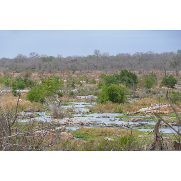 Picture South Africa Kruger National Park Crocodile River 2008-09 43 - Tours Crocodile River