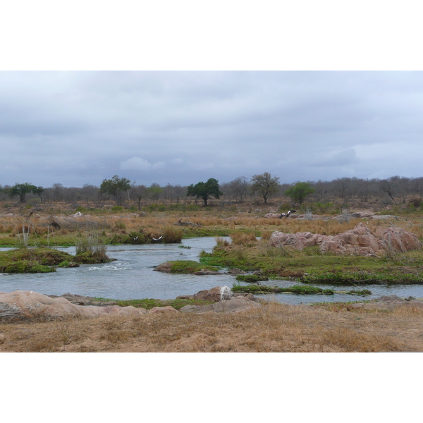 Picture South Africa Kruger National Park Crocodile River 2008-09 32 - Around Crocodile River