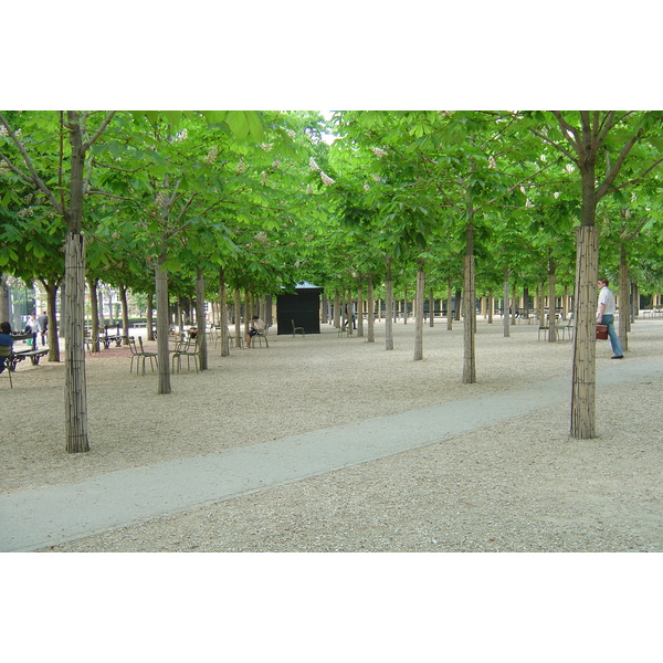 Picture France Paris Luxembourg Garden 2007-04 95 - Center Luxembourg Garden