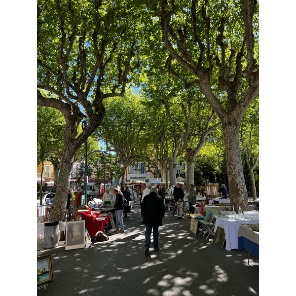Picture France Vence 2024-04 44 - History Vence