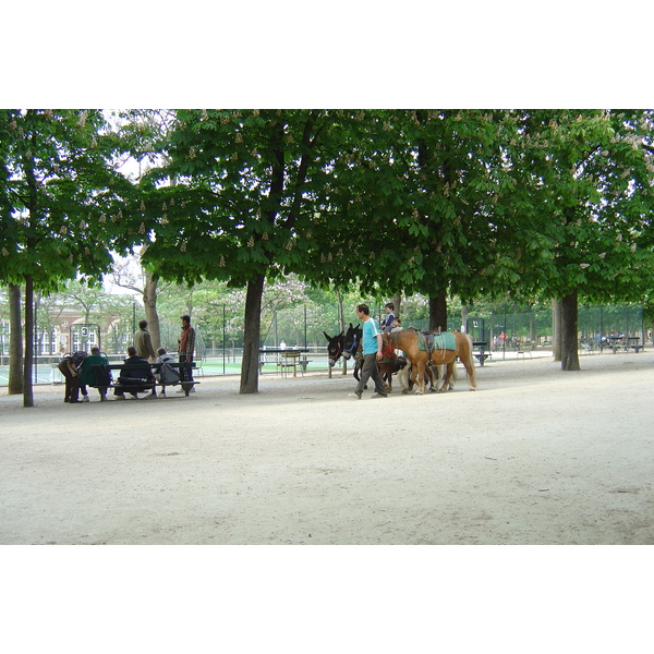 Picture France Paris Luxembourg Garden 2007-04 33 - Journey Luxembourg Garden