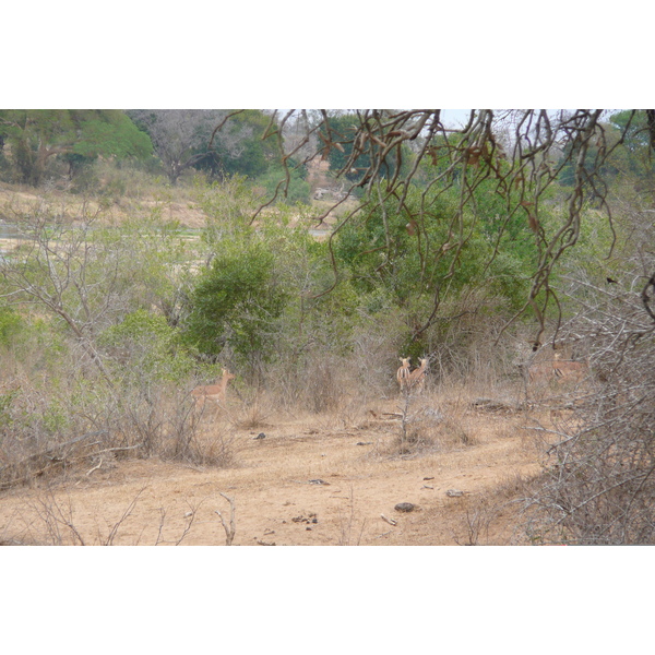 Picture South Africa Kruger National Park Crocodile River 2008-09 25 - Recreation Crocodile River