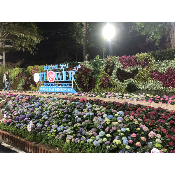 Picture Thailand Chiang Mai Nong Buak Haad Public Park 2024-01 18 - History Nong Buak Haad Public Park