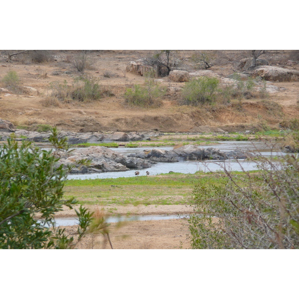 Picture South Africa Kruger National Park Crocodile River 2008-09 21 - Center Crocodile River