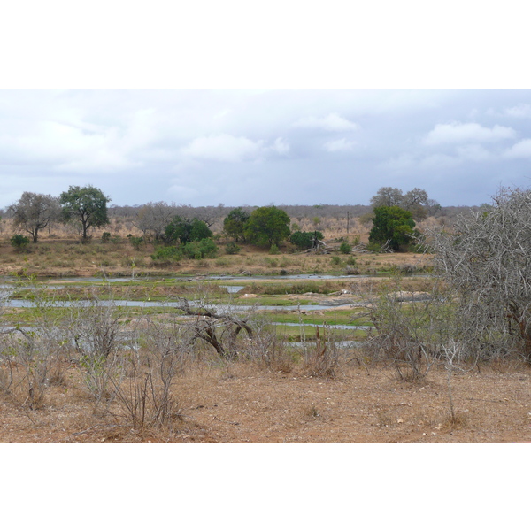 Picture South Africa Kruger National Park Crocodile River 2008-09 71 - Journey Crocodile River