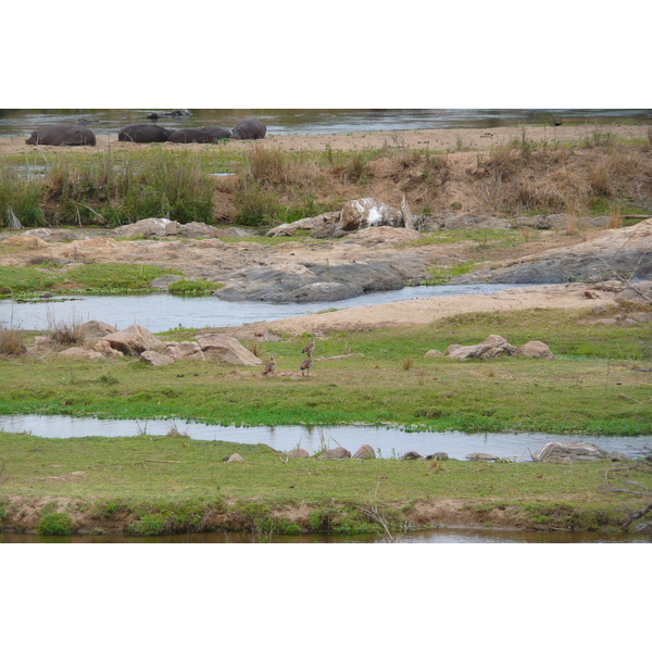 Picture South Africa Kruger National Park Crocodile River 2008-09 60 - History Crocodile River