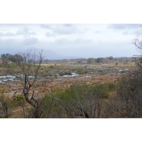 Picture South Africa Kruger National Park Crocodile River 2008-09 56 - Tours Crocodile River