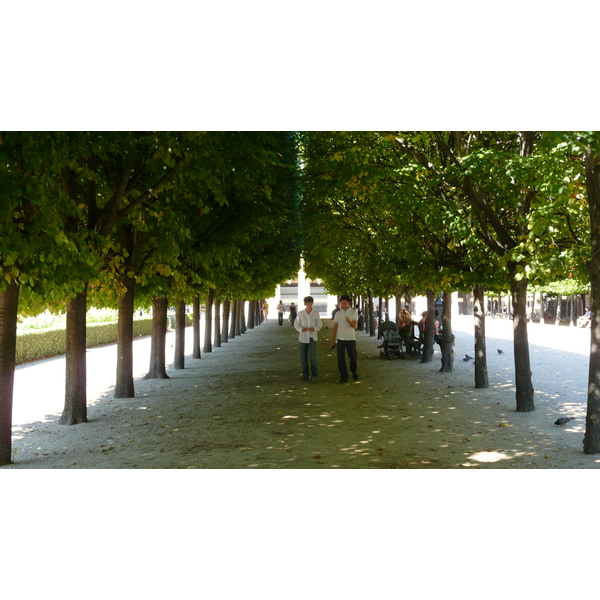 Picture France Paris Palais Royal 2007-08 22 - Tour Palais Royal