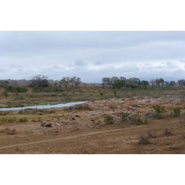 Picture South Africa Kruger National Park Crocodile River 2008-09 69 - Journey Crocodile River