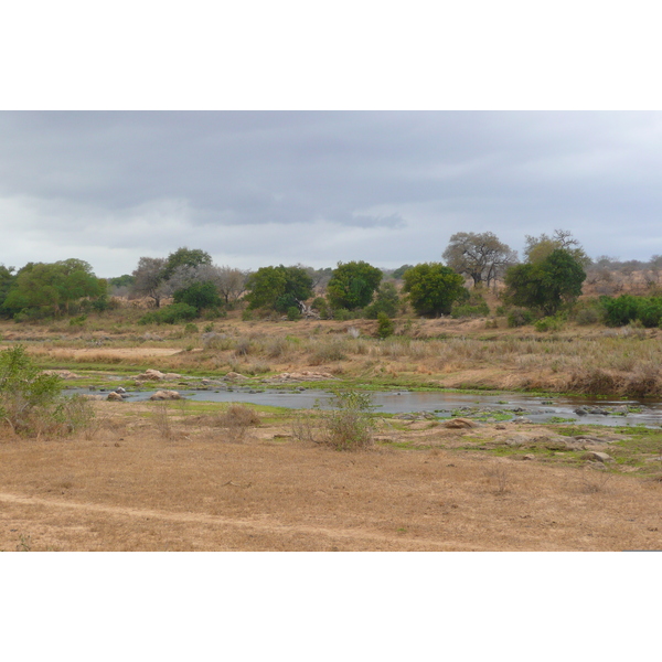 Picture South Africa Kruger National Park Crocodile River 2008-09 65 - Discovery Crocodile River