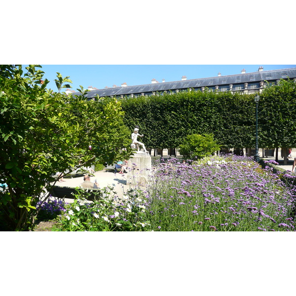 Picture France Paris Palais Royal 2007-08 126 - Center Palais Royal