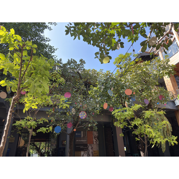 Picture Thailand Chiang Mai Kalm 2024-12 43 - Around Kalm