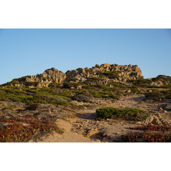 Picture France Corsica Tonnara Beach 2017-07 43 - Tour Tonnara Beach