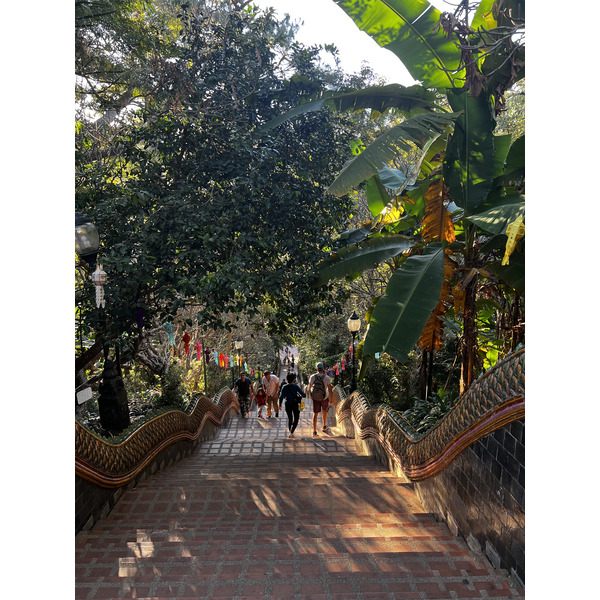 Picture Thailand Chiang Mai Doi Suthep 2024-01 15 - Center Doi Suthep