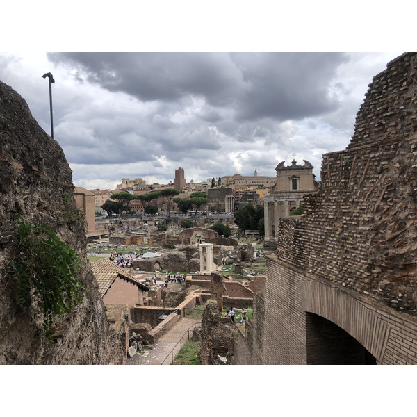 Picture Italy Rome Roman Forum 2024-09 136 - Tours Roman Forum