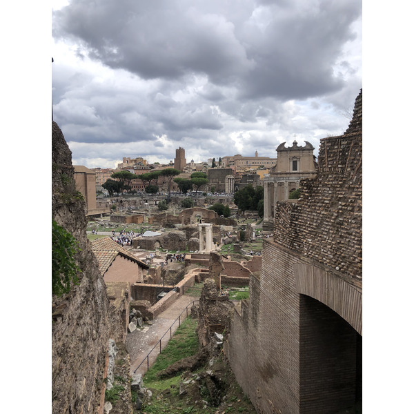 Picture Italy Rome Roman Forum 2024-09 182 - Tours Roman Forum