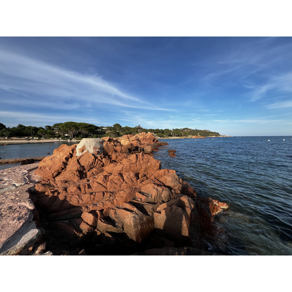 Picture France Corsica ⁨Cala Rossa⁩ 2024-05 16 - Around ⁨Cala Rossa⁩