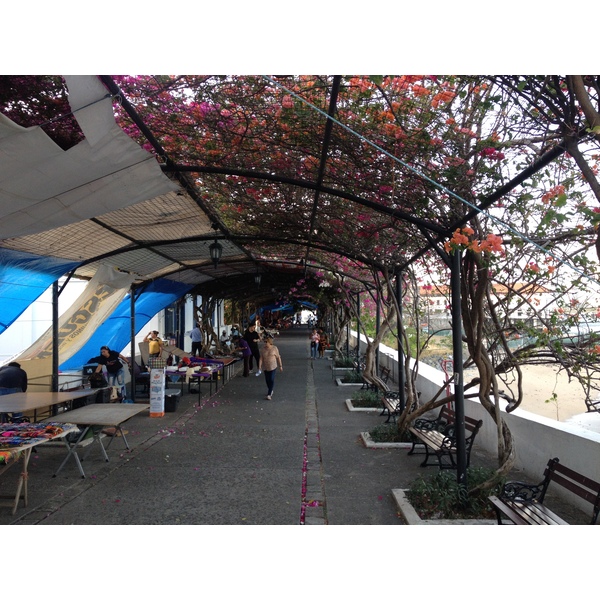 Picture Panama Panama City 2015-03 221 - Center Panama City