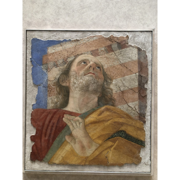 Picture Italy Rome Vatican Museum 2024-09 165 - Tour Vatican Museum