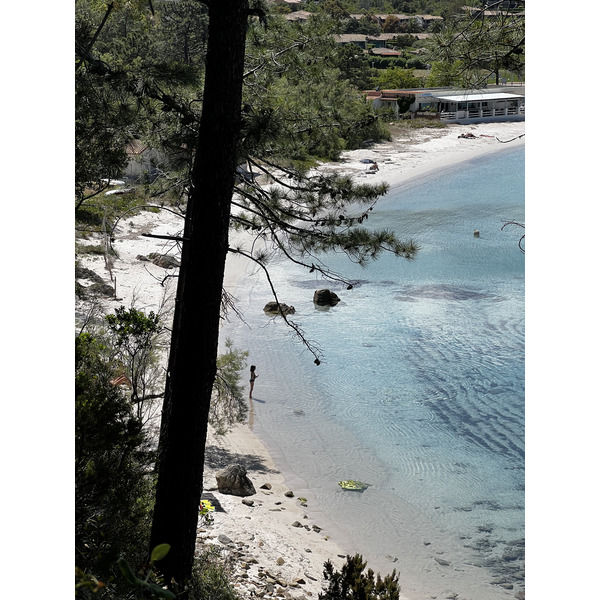 Picture France Corsica Favone Beach 2024-05 6 - Tours Favone Beach