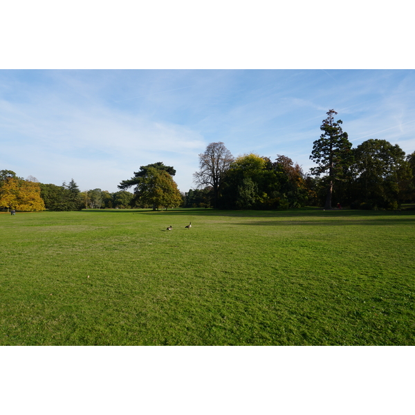 Picture France Paris Bagatelles 2016-10 26 - Tour Bagatelles