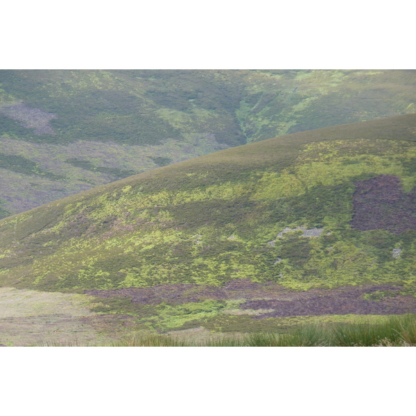 Picture United Kingdom Cairngorms National Park 2011-07 133 - Journey Cairngorms National Park