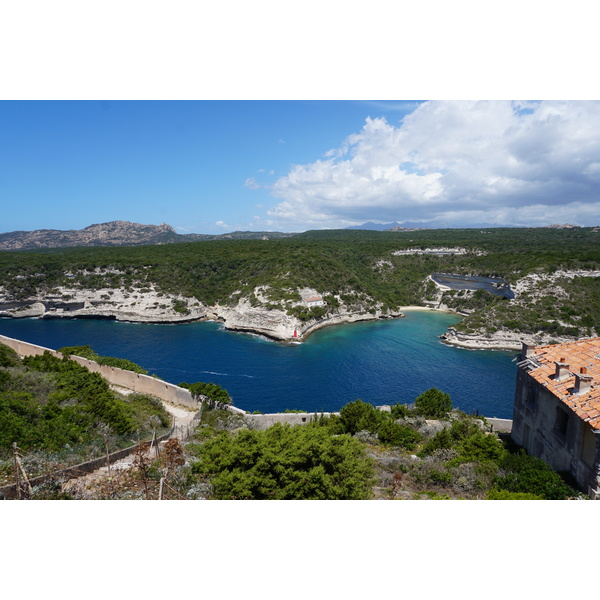 Picture France Corsica Bonifacio 2017-07 48 - History Bonifacio