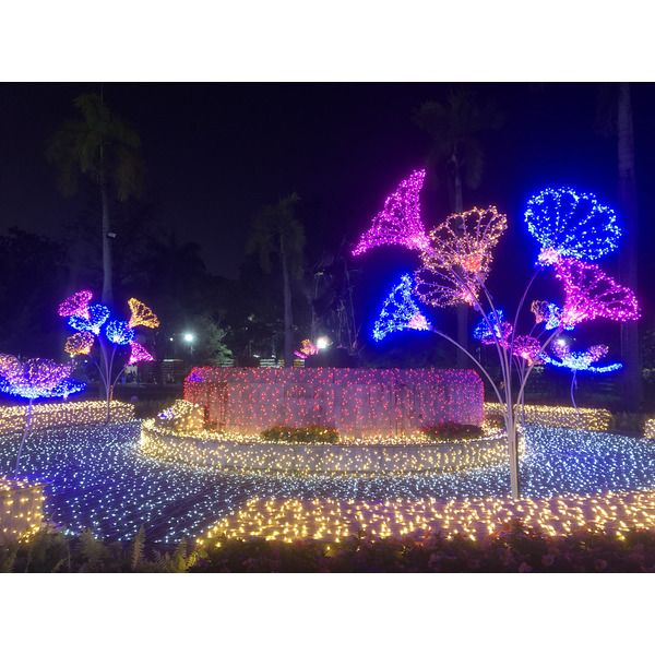 Picture Thailand Chiang Mai Nong Buak Haad Public Park 2024-01 57 - Center Nong Buak Haad Public Park