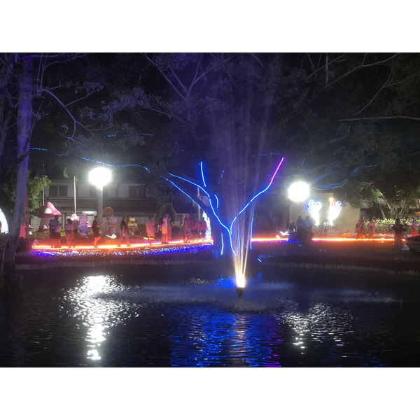 Picture Thailand Chiang Mai Nong Buak Haad Public Park 2024-01 5 - Around Nong Buak Haad Public Park