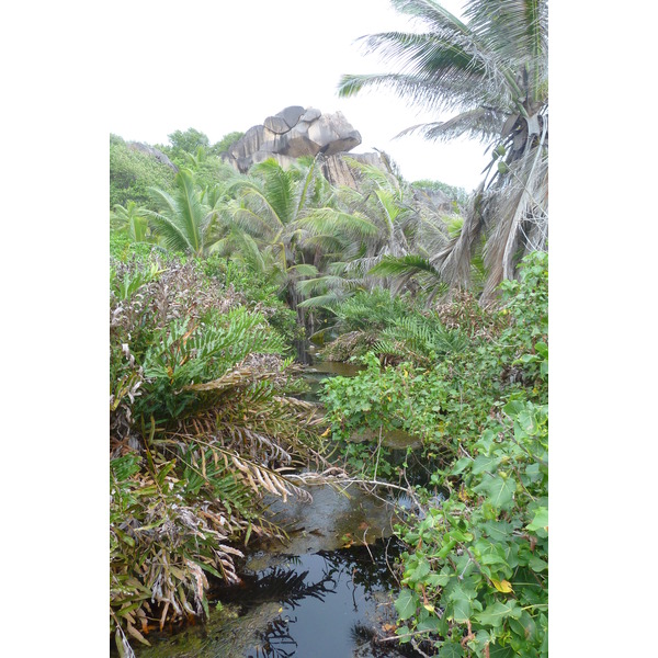 Picture Seychelles La Digue 2011-10 237 - Discovery La Digue