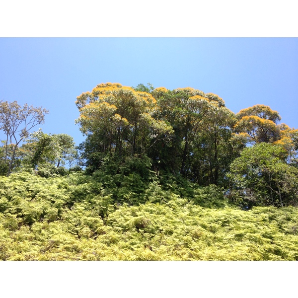 Picture Costa Rica Pacific Border 2015-03 5 - Center Pacific Border